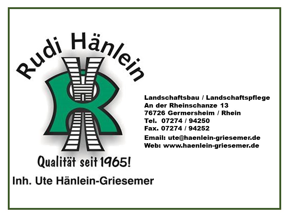 Haenlein Griesemer